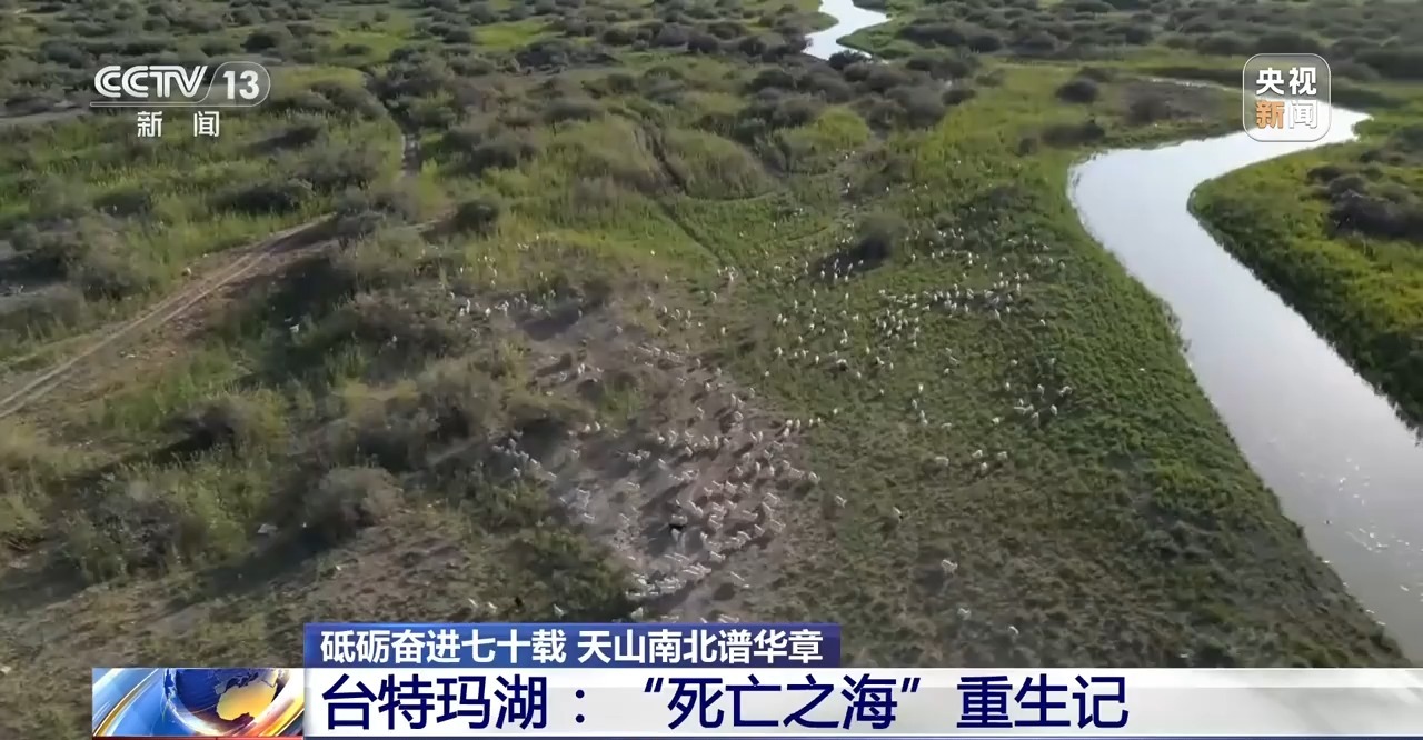 蒂亚诺山（Tiano Mountains）的努力和发展七十年是