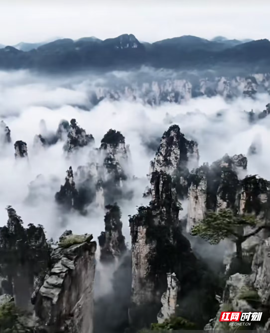 黑白.jpg