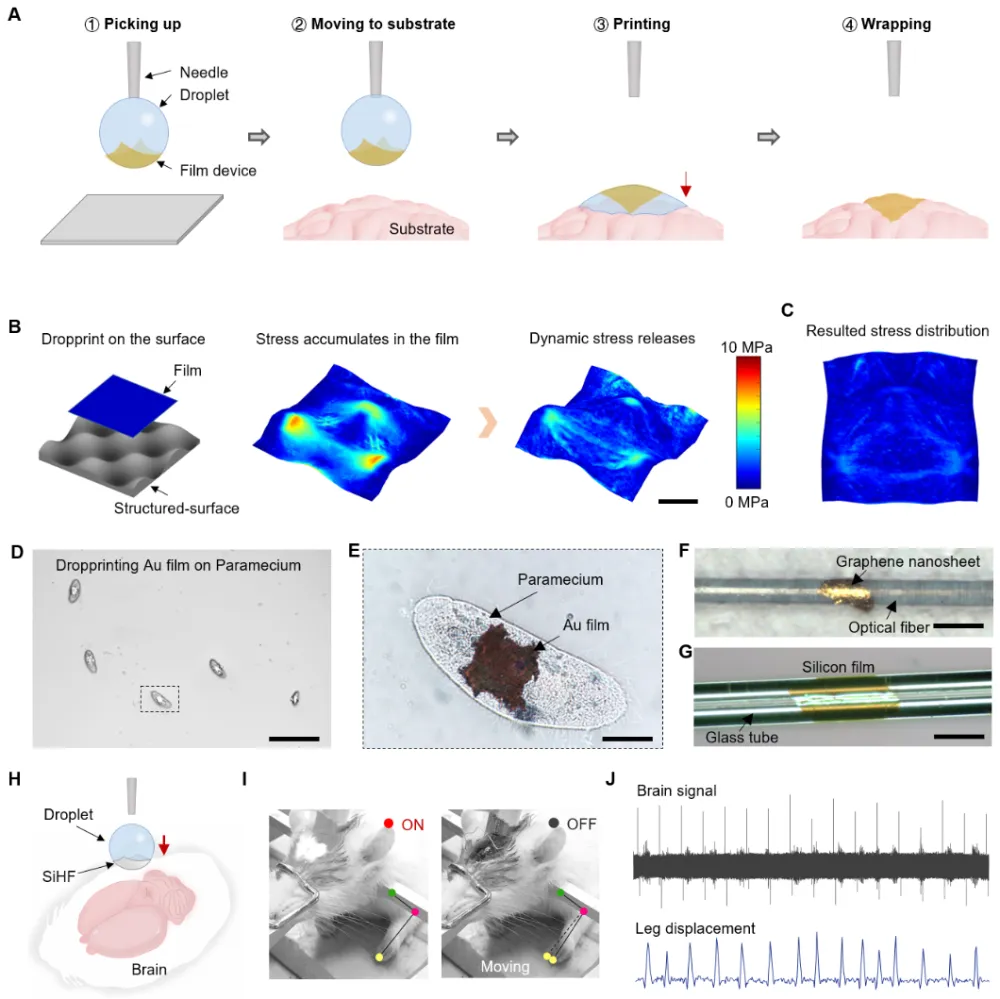 一滴水的“薄膜”？中国科学家正在开发新的“