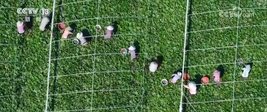 更牢固，更稳定，更足够，更稳定，更明亮...关