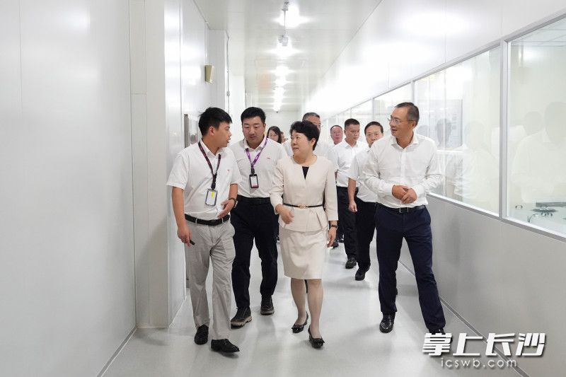 吴桂英在惠科股份有限公司考察交流。 吴桂英在惠科股份有限公司考察交流。