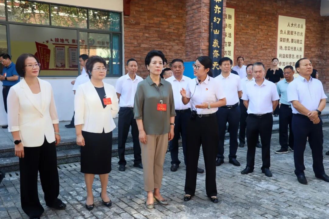 全省人大系统落实“三会三文”精神邵阳片区会议召开 推动全省人大工作高质量发展再上新台阶(图3)