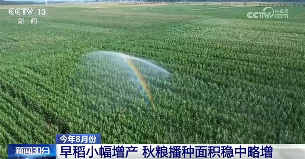 宏观政策“积极有为”助推国民经济运行总体平稳 高质量发展扎实推进