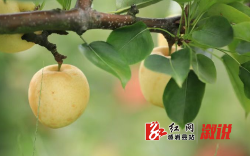 QQ_1757670615243.png