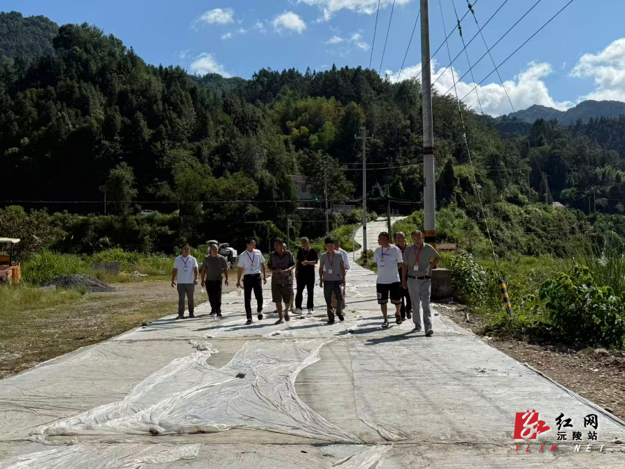 图片1.jpg 图片1.jpg