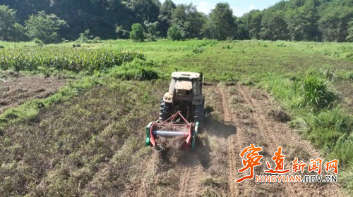 宁远鲤溪镇：机械化采收助力花生“颗粒归仓”1_副本500.jpg