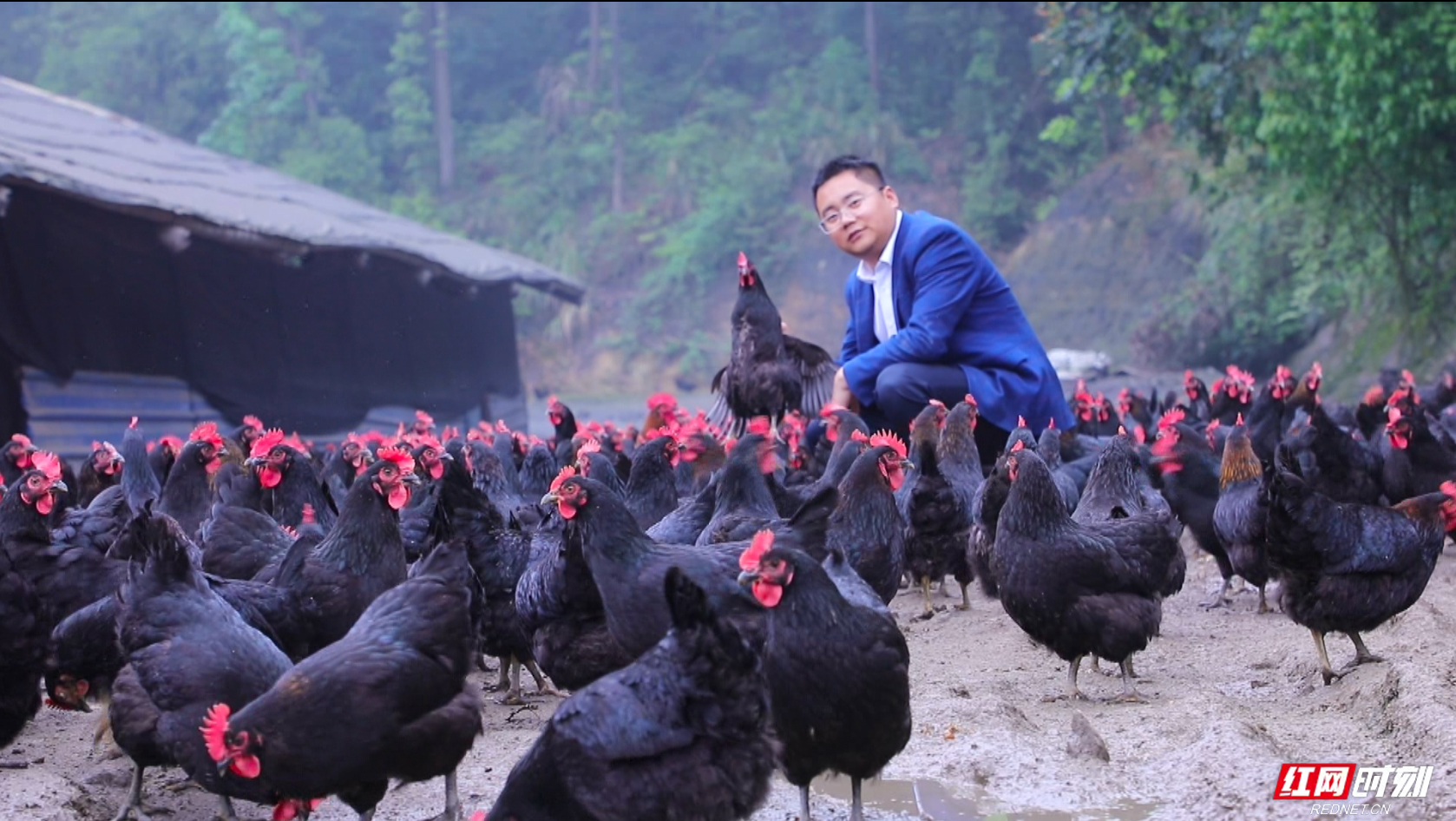 龚光辉：海归硕士的养鸡革命