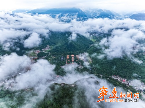 微信图片_20250919164408_15_10_副本500.jpg 微信图片_20250919164408_15_10_副本500.jpg