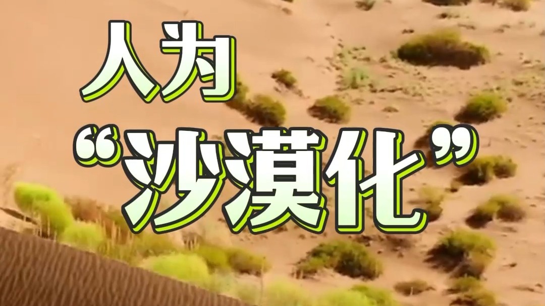从“贫瘠的土地”到希望领域，对中国沙漠风格