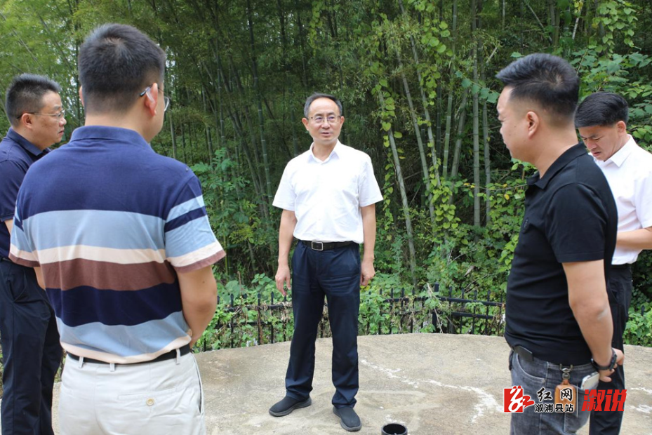 书记县长红网尺寸3.jpg