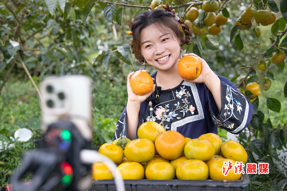 微信图片_20250922090617_167_27.jpg 微信图片_20250922090617_167_27.jpg