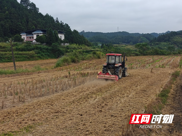 通道：秸秆低茬粉碎还田 绘就农业生态新图景