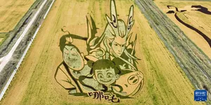 内蒙古准格尔旗：黄河蜿蜒 稻田作画