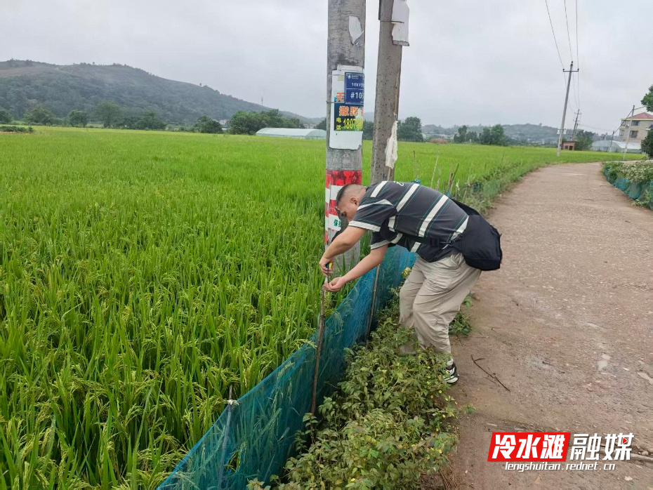 微信图片_20250923113816_235_443.jpg