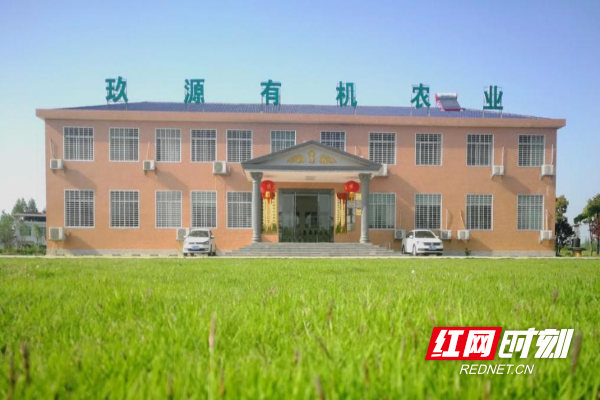 图片11.png