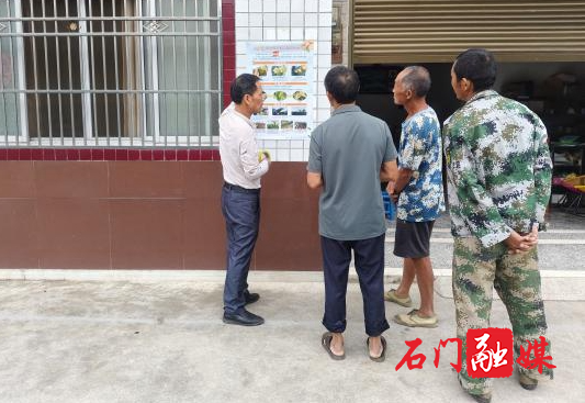 子良镇:开展柑橘木虱专项摸排 护航柑橘产业健康发展2.jpg 子良镇:开展柑橘木虱专项摸排 护航柑橘产业健康发展2.jpg