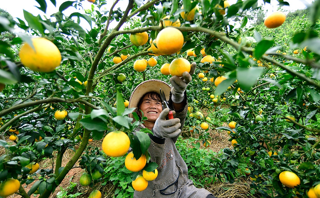 中国的经济信心理论丨又一年的“广阔”风景，