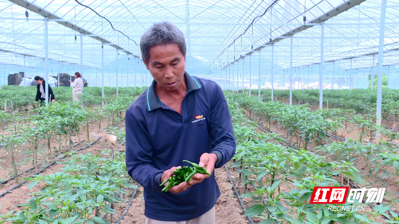 vlcsnap-2025-09-25-16h41m54s399.jpg vlcsnap-2025-09-25-16h41m54s399.jpg