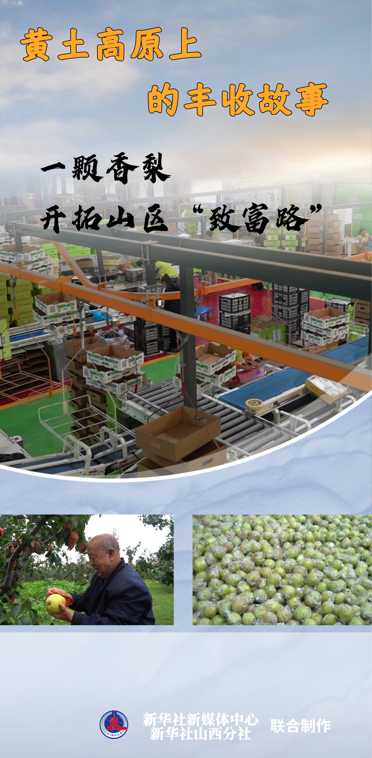 黄土高原的故事：一种香梨在山区打开“繁荣之