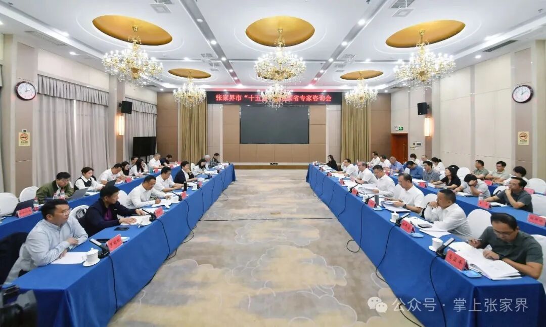 刘革安主持召开“十五五”规划国省专家咨询