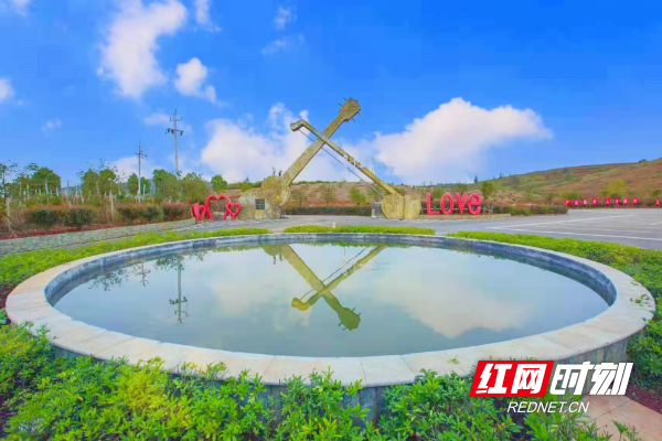 图片31.png
