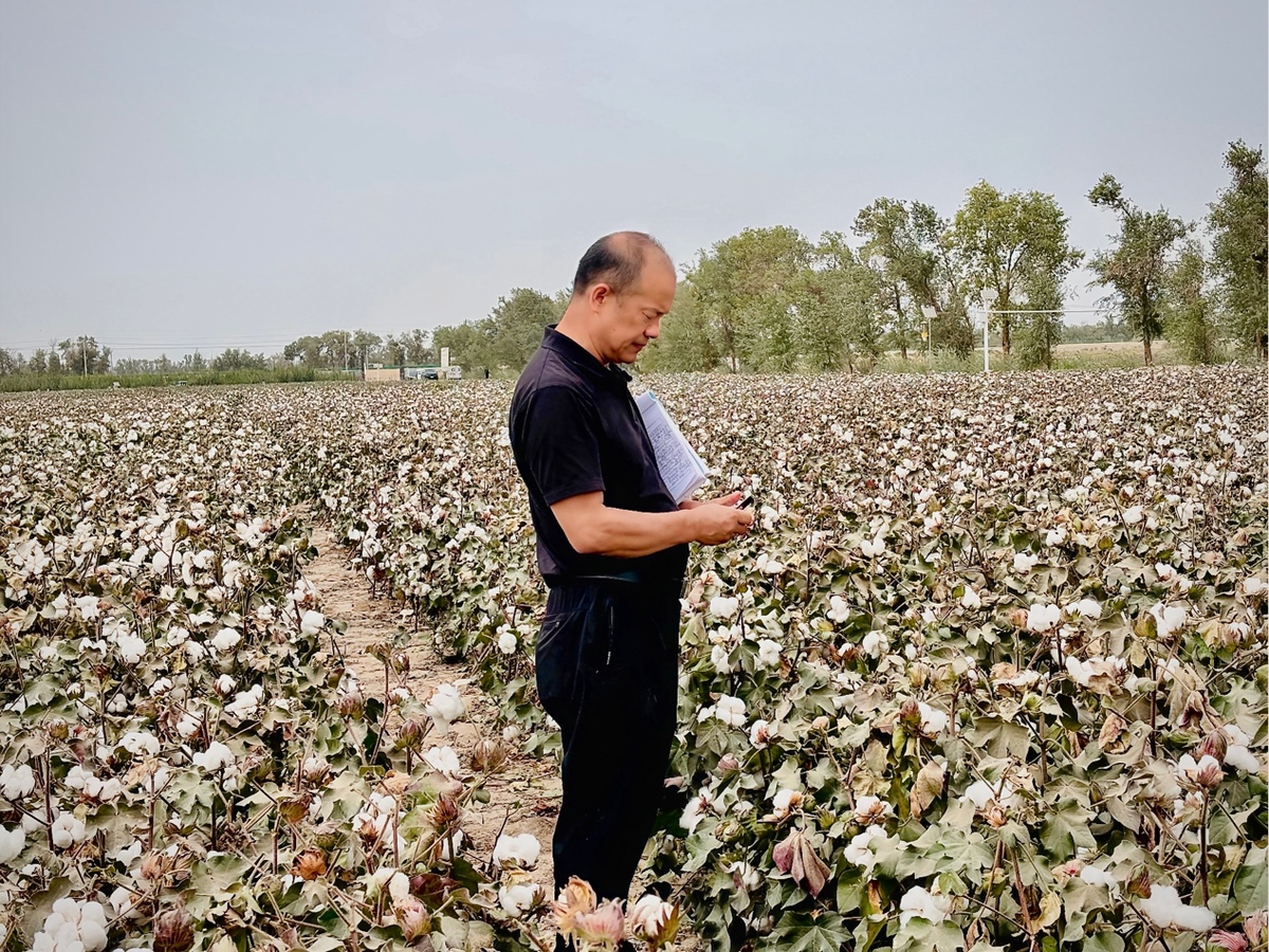 中国梦·伟大的乡村工匠分会|实践文明：“成长
