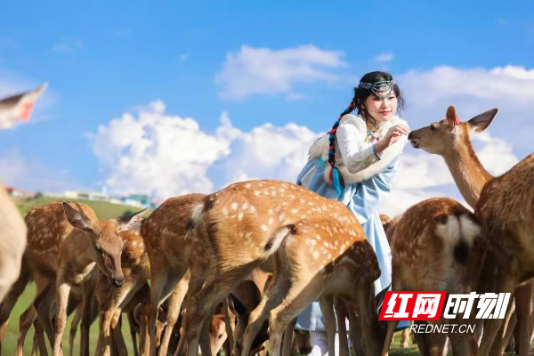 图片6.png