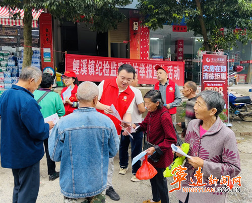 宁远鲤溪镇：开展纪检监察信访举报知识宣传活动_副本500.jpg