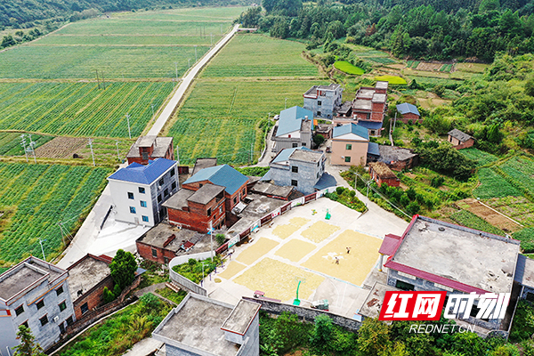 DJI_0255.jpg