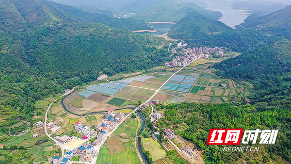 DJI_0281.jpg