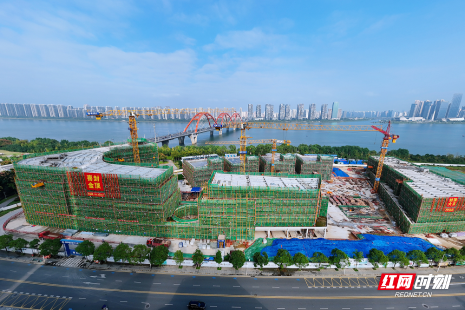 封顶1000.jpg