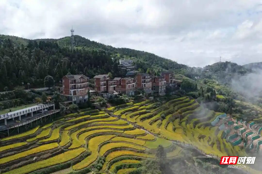 微信图片_20250926130357_45_1188(1).jpg