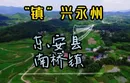 蜜梨“舞动”农旅梦