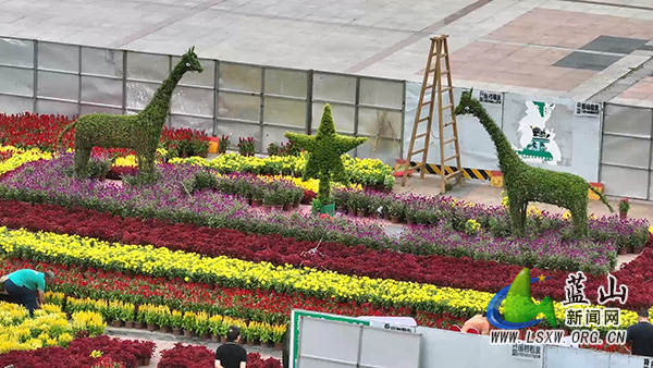 我县缤纷花卉点亮节日氛围1.jpg