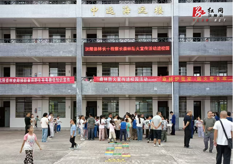 图片1.png