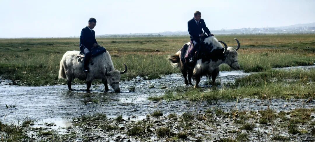 帕米尔的顶部：骑YAK来处理箱子