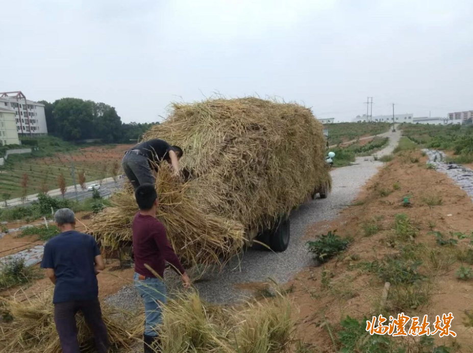 wechat_2025-09-30_145307_890.png