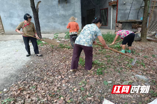 微信图片_2025-10-01_154608_428.png