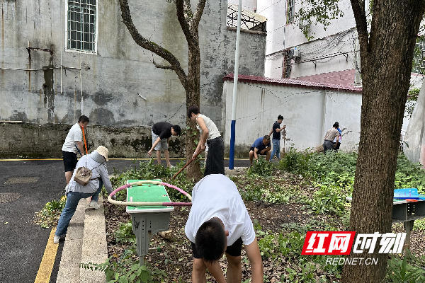 微信图片_2025-10-01_154603_757.png