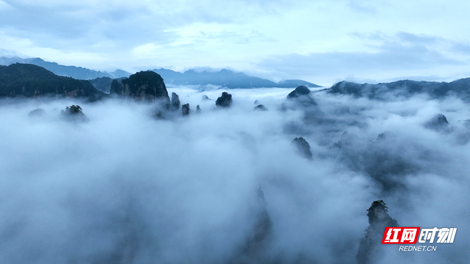 DJI_0072_副本.jpg