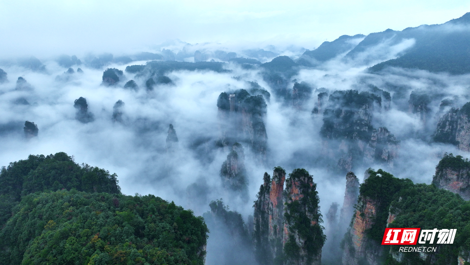 DJI_0013_副本.jpg