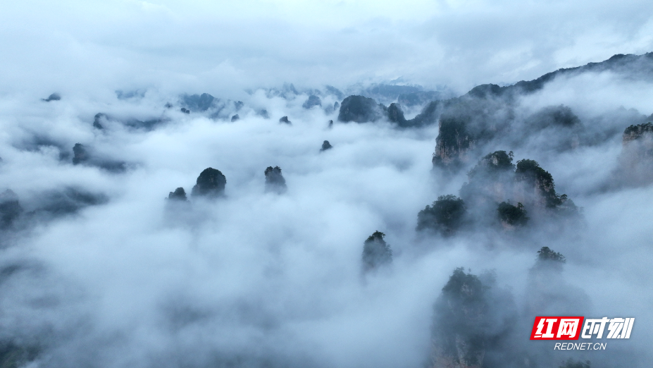 DJI_0261_副本.jpg