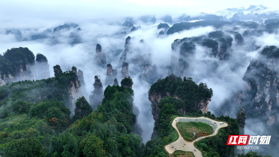 DJI_0994_副本.jpg