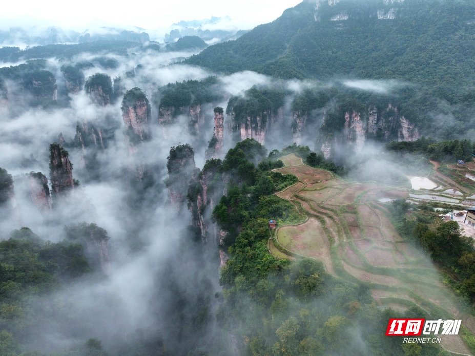DJI_0971_副本.jpg