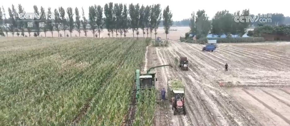 希望场是“蓝色”和吸引人的吸引力，“农村振