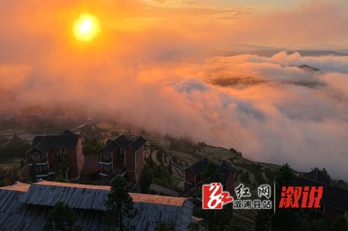 微信图片_20250929172842_351_144.png