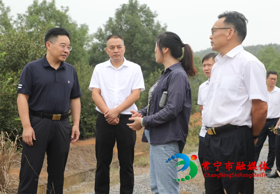 书记调研1.jpg
