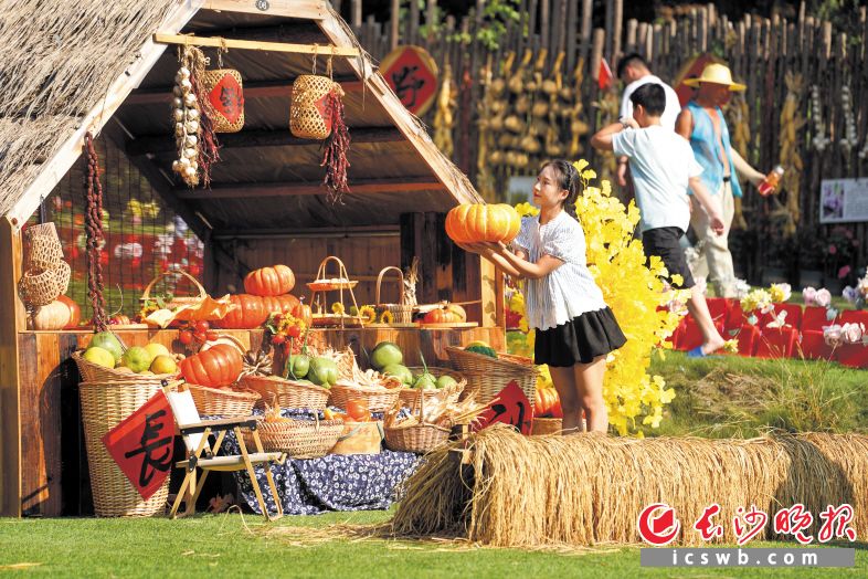 10月7日，位于雨花区洞井街道的溪野花田城市农场主推的“晒秋”新场景与多元体验，不仅让大人沉浸式感受秋收氛围，也让孩子们直观认识了不少农作物。“农耕体验 + 休闲娱乐”的新业态，为长沙市民提供了“不远游也精彩”的都市微度假选择。 长沙晚报全媒体记者 邓迪 摄