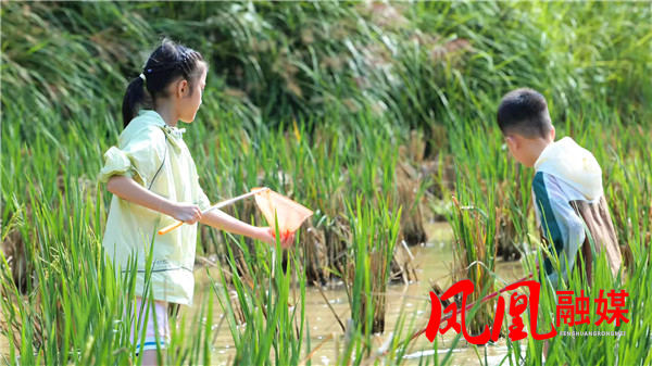稻花鱼成片[00_06_02][20251009-145813].jpg