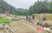 零陵区：兴修“小水利” 灌溉“大民生”
